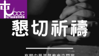 屯門區基督教聯會譴責滋擾者干預教會正常活動 冀港府保護宗教自由