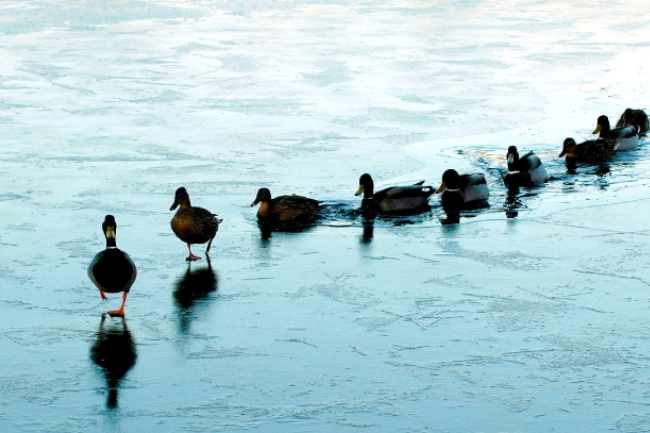寇紹恩牧師談領袖特質：具影響力導人回正軌