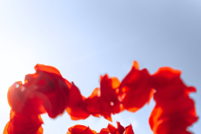 性成癮離婚率達五成 心理學家：色情扭曲愛