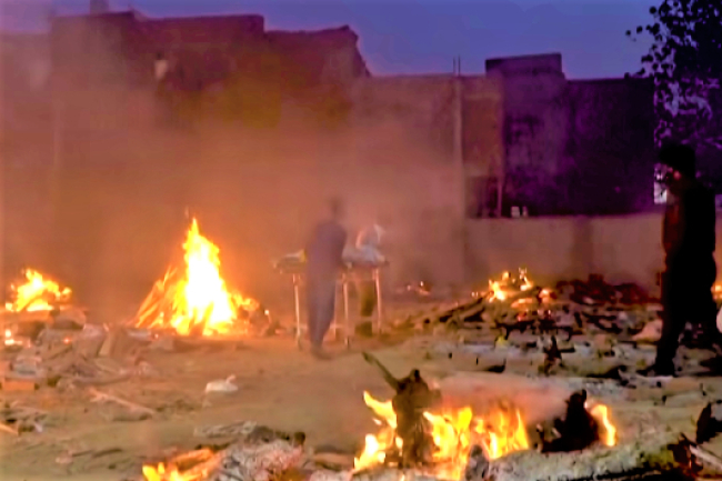 印度疫病死亡人數破25萬 台灣人疑受感染