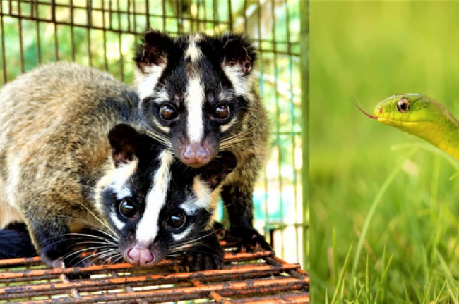 新福環保Live Talk II 青年保育者接觸大自然之路