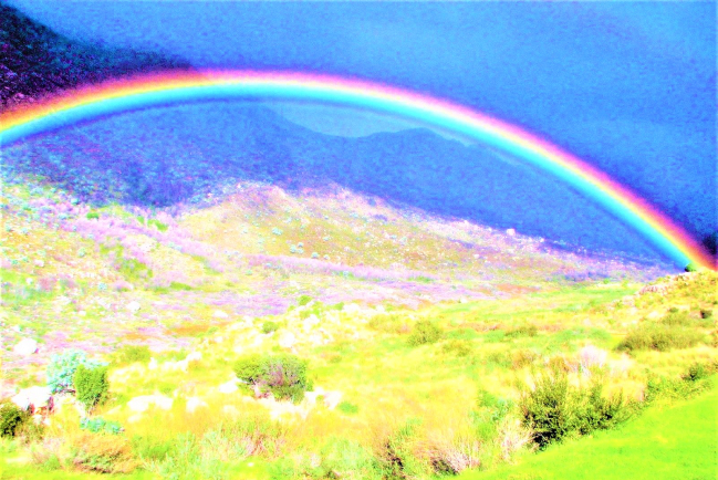 上帝救災5方法：做好準備實事求是