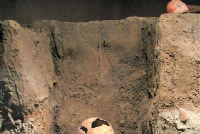 窮人自願了結生命？ 評昆士蘭安樂死法案