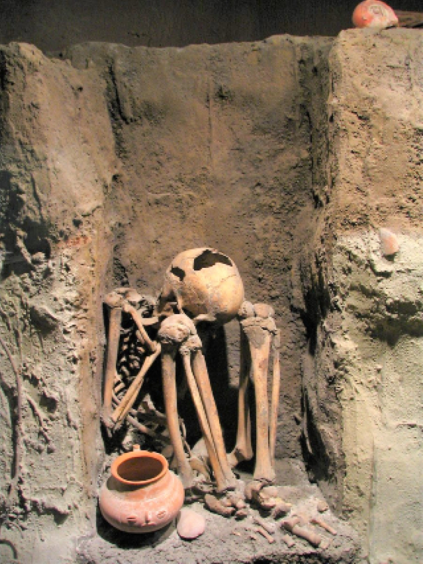 穷人自愿了结生命? 评昆士兰安乐死法案