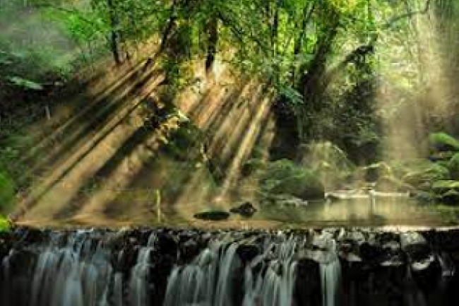 印度泛靈教村民強迫基督徒挖掘屍體