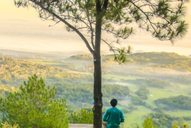 新紀元滲入環保 提防錯誤鼓吹！