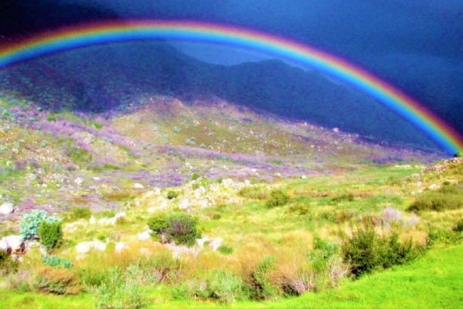 講座會:高銘謙析解耶利米哀歌「盟約神學」