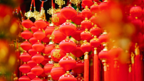 春满迎福展新岁 恭祝读者荣光照万家