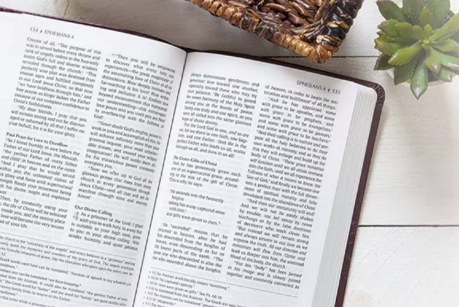 聖經《激情譯本》被指添加人意 遭刪除