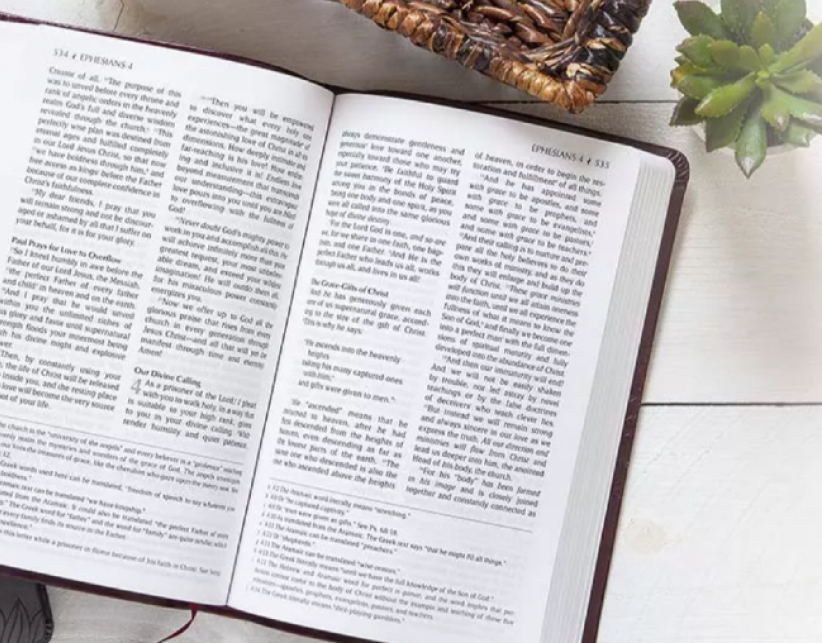 聖經《激情譯本》被指添加人意 遭刪除