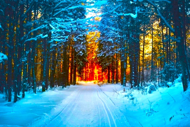 香港基督教機構:過半財務感壓力、七成前景持負面