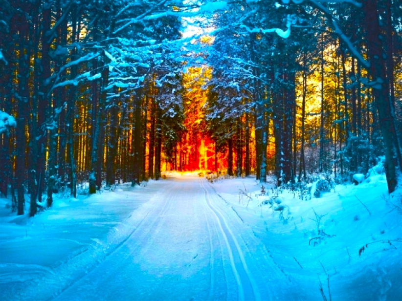 香港基督教機構:過半財務感壓力、七成前景持負面