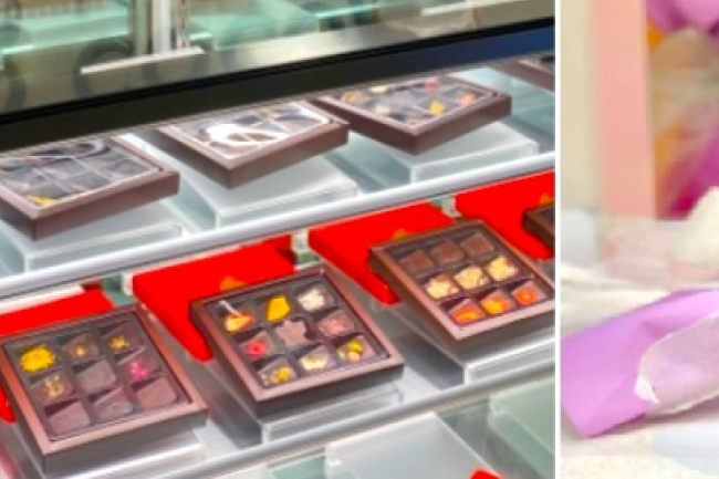 香港多間社企 支援婦女SEN青年疫下就業