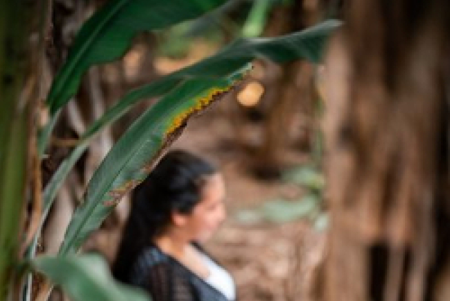 哥倫比亞13歲女孩加入幫派冀脫貧