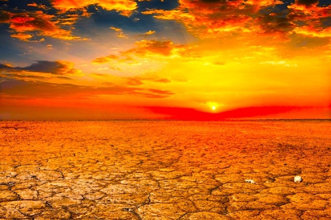 梵蒂岡發聲明回應氣候變化