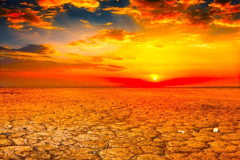 梵蒂岡發聲明回應氣候變化 