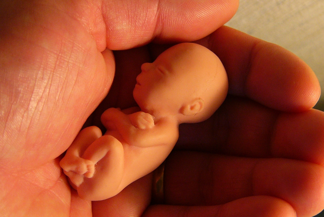 迪士尼與大學支助學生 製作倡議墮胎電影