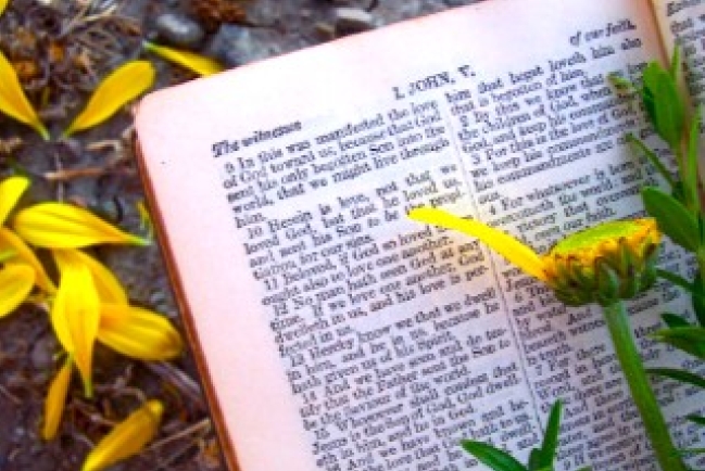 10節最受歡迎聖經經文 首位：約翰福音3章16節