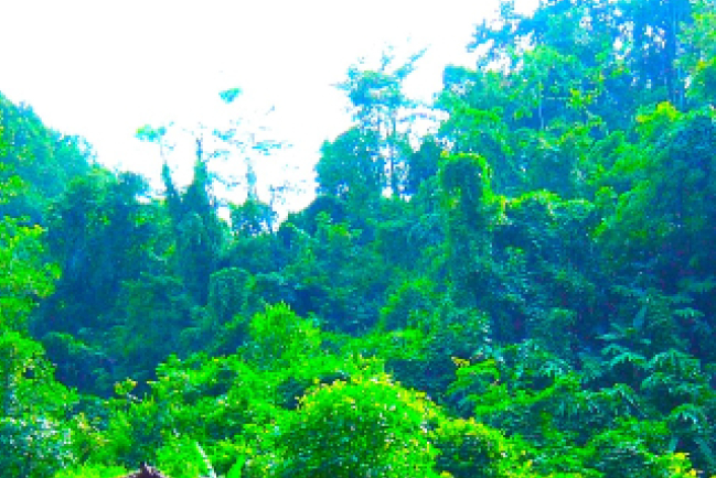 宗教自由組織 揭開10次充滿風險的秘密洗禮