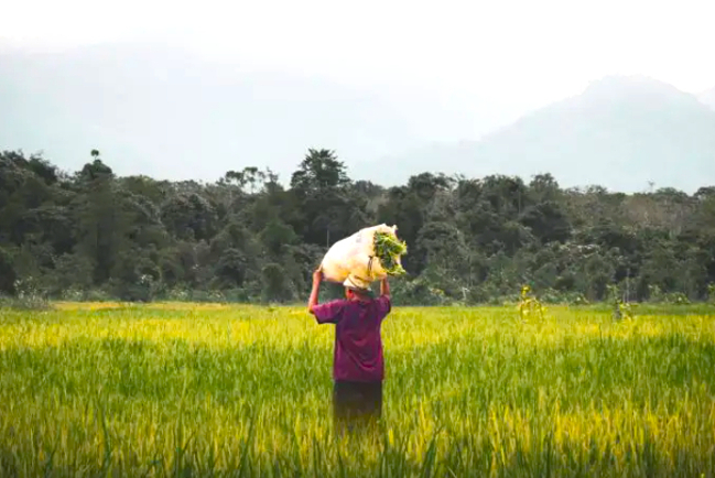 非美歐基督教團體聯署 呼籲兌現氣候變化承諾