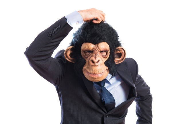 假如有一天黑猩猩問人類:我從哪裡來?