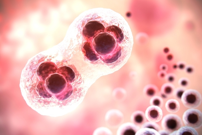 我是誰？英國首批「三親嬰兒」疑越過倫理底線