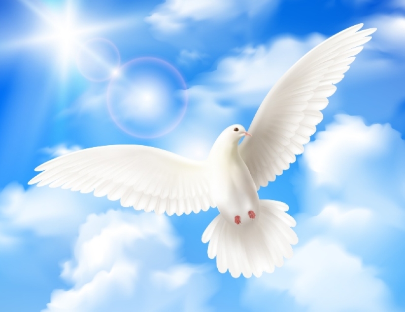 「願祢的國降臨」祈禱運動 迎接耶穌升天後五旬聖靈