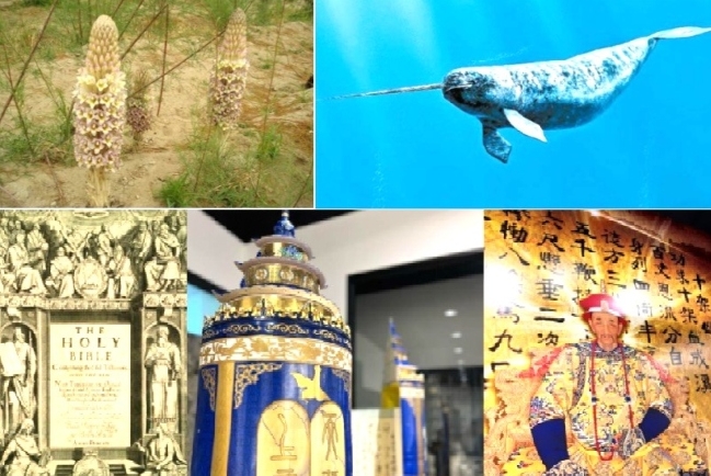 影音使團特備節目:步行探秘「不由你不信」福音體驗館