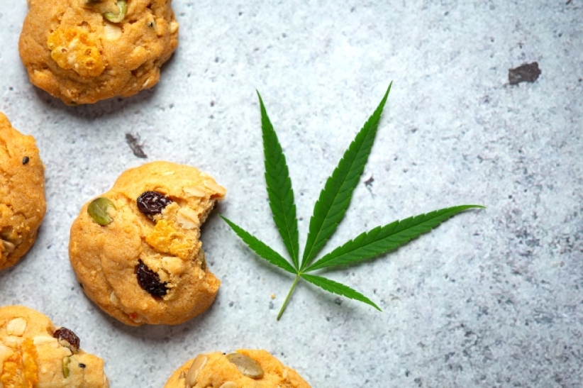 娱乐性大麻遗祸：婴儿早产男性患精神分裂  