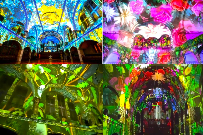 柏林教堂「創世紀」燈光秀:環迴視聽展現動植物生命力