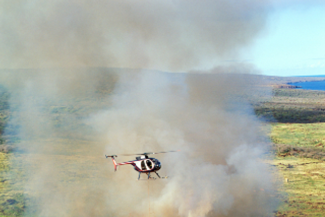 氣候峰會!香港青年撰立場書交聯合國 教界推整體生態學