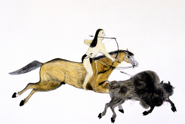 研究：人類比獅子兇猛兩倍 尊重動物展示敬畏上帝