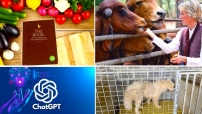 善待動物組織ChatGPT篡改聖經：亞伯拉罕收養小狗拒獻以撒