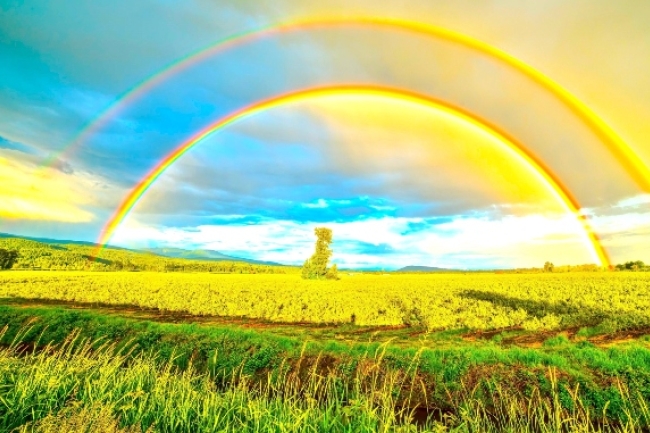 世界地球日快樂!環境保護4式人人做得到