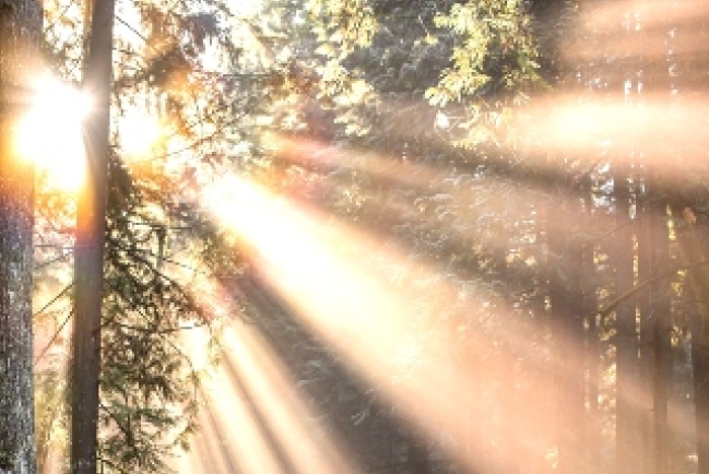 大齋期vs英國母親節 源自「母會主日」