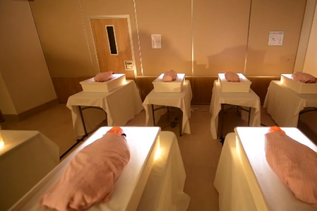 中神「美麗新世界」藝展 現實X烏托邦的錯體身分