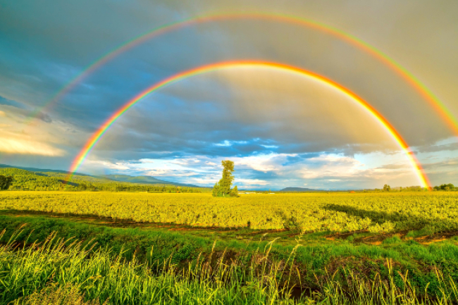 「世界環境日」亞洲基督教議會促變革保護人類家園