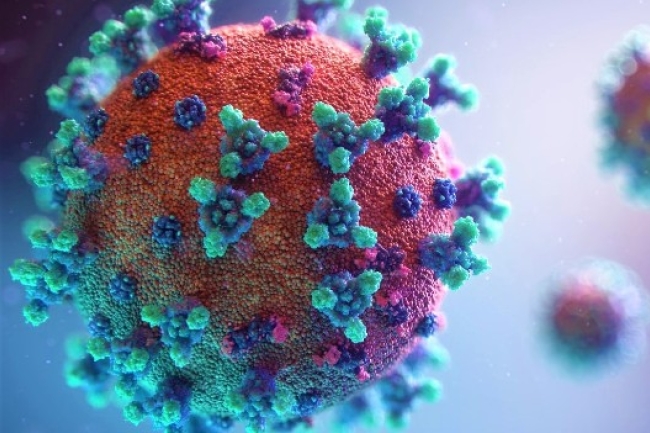 全球新冠確診突破3億 陳謳明大主教籲市民同心抗疫