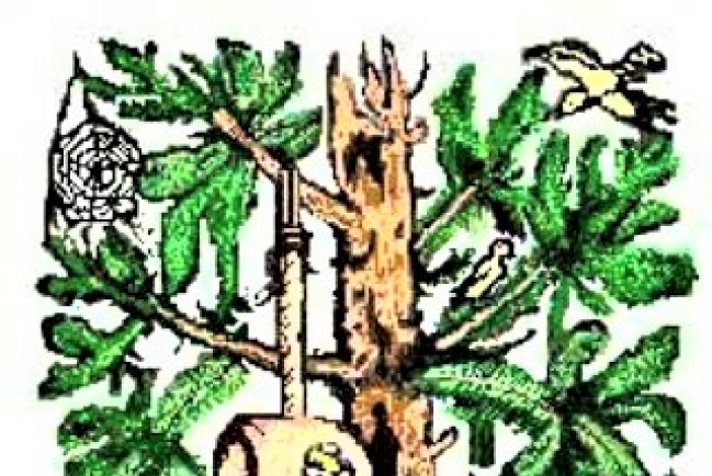 西班牙語聖經450周年 展出修士流亡翻譯史