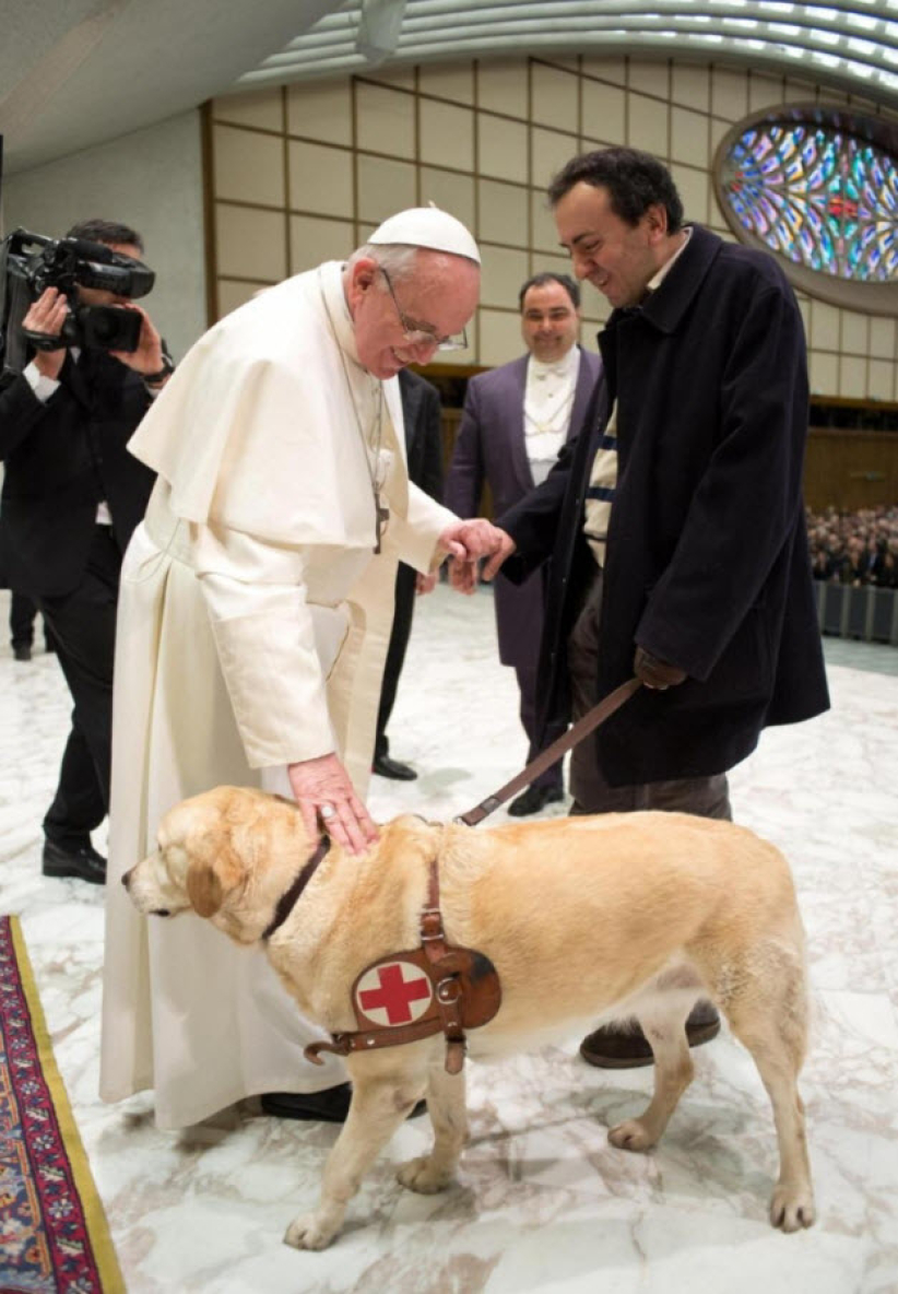 教宗疑指動物也可上天堂 引發神學爭議