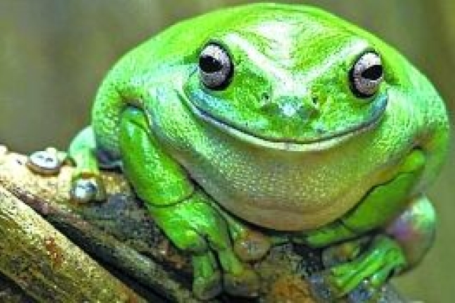 【和諧之歌】生活瑣記六則