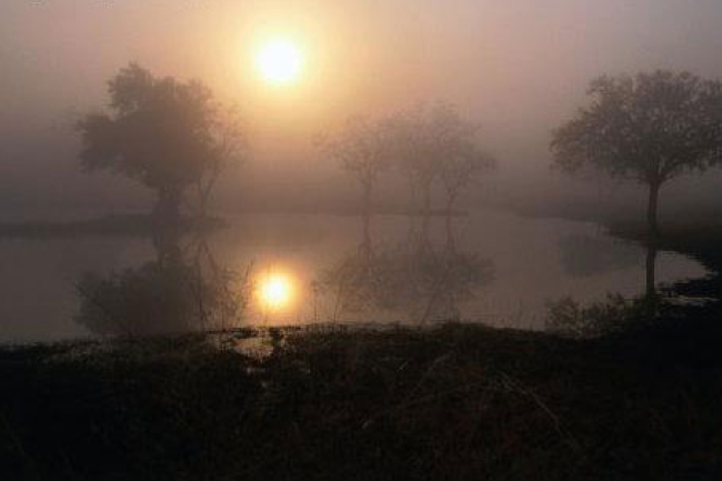 《荒漠甘泉》6月4日