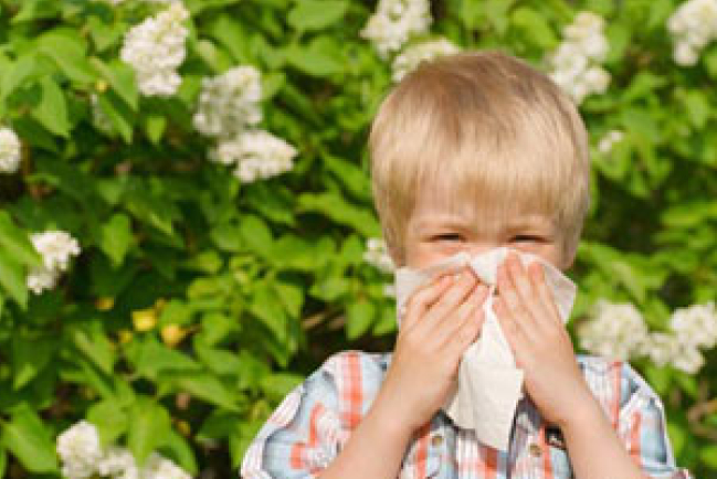 春天常吃四種食物抗過敏