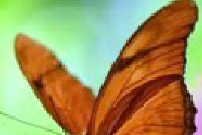 為目標奮鬥——做個揮著翅膀的您