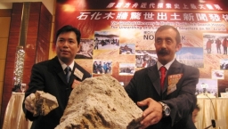 巨型木化石驚世出土 疑是挪亞方舟