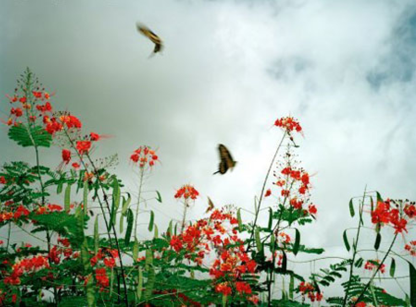 每日經歷神:不論斷