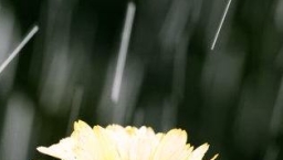每日經歷神：儀式或關係？