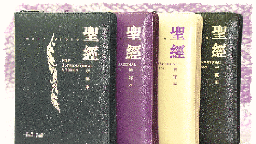 《新譯本‧NIV》中英對照聖經聖誕推出 望受造信徒