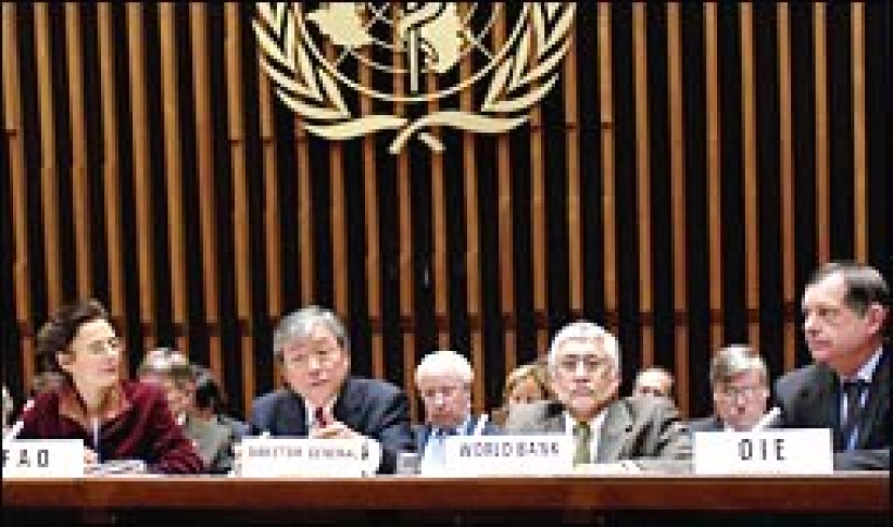 日内瓦召开全球会议 商讨如何应对禽流感和人类大流行性流感