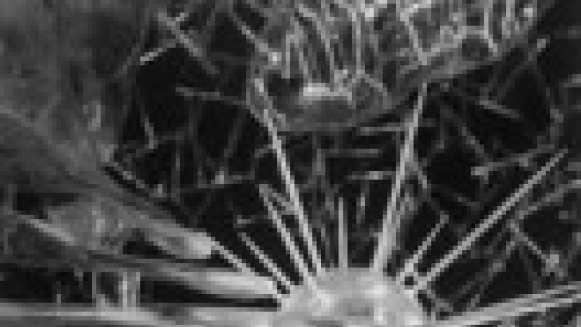 生物學家馮秉誠牧師分享科學vs信仰問題